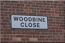 TA0929 : Woodbine Close, Hull by Ian S