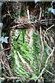 Benchmark on gatepost in hedge on SE side of farm road to Wedholmehill