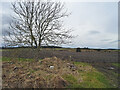 Ploughed Field near Swailend