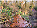 The Brook, Prestwich Clough