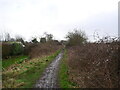 Muddy Weavers Way