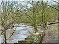 River Irwell at Summerseat