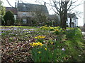 Spring arrives in Stanton Drew