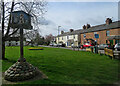 Hauxton: daffodils on The Green