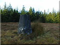 ND3047 : Triangulation Pillar, Tannach Hill by David Bremner