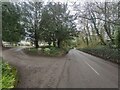 Driveway on Eashing Lane