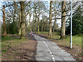 Foot and cycle way parallel with Northgate Avenue, Crawley