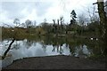 Mayfield Pond from a bench