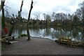 Across York Railway Pond