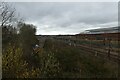 Snowplough in the sidings