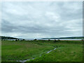 Saltmarsh at Dingwall Junction