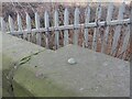 Bolt benchmark on Randolph Road railway bridge, Gallatown