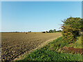 Farmland off Nedging Road