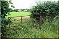 Field gateway on south side of B5302