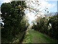 Back Lane, Westborough