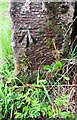 Benchmark on gatepost on SW side of B5302