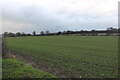 Field by St Albans Road, South Mimms