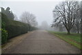 TQ5839 : Fog, Calverley Park by N Chadwick