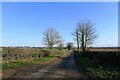 The Drift, heading towards Barrowby