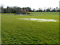Sibton Park Cricket Club?s flooded pitch