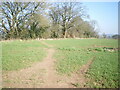 Footpath drops into a copse