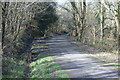 Woodland path, Bargoed Woodland Park