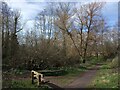 Seat and wooden sculpture, Panny Path, Exeter