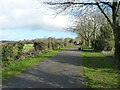 Along the lane to Manor Barns