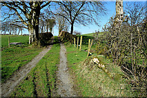 H5375 : Country lane, Drumnakilly by Kenneth  Allen