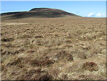 NC8458 : Moorland towards Beinn Ruadh by Chris Wimbush