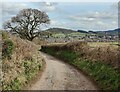 Public bridleway towards Wychbury Hill