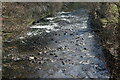 River Rhymney, Bargoed Woodland Park