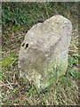 A stone on Pound Lane