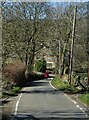 Woman with white dog on Shore Hall Lane