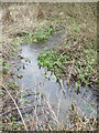 Water near Windsor Hill Lane