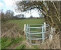 Kissing gate, Frinsted