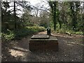 Path in Queen Elizabeth Park