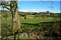 Tree and countryside, Racolpa