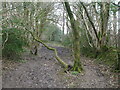 Footpath to Little London