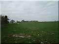 Grass field and The Ashes