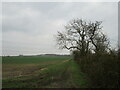 Footpath to Allington