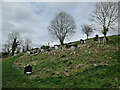 S5942 : Old Graveyard by kevin higgins