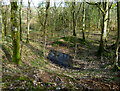 Old Well near Lovestone