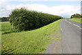 Road heading NE from Thursby towards A595