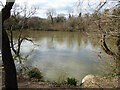 Ifield Mill Pond, Gossops Green, Crawley