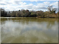TQ2436 : Ifield Mill Pond, Gossops Green, Crawley by Robin Webster