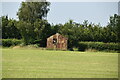 Corrugated shed