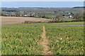 Path across field below Painshill Farm