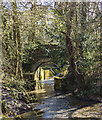 TQ2796 : Hadley Wood : Pymme's Brook by Jim Osley