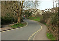 Weston Lane, Totnes